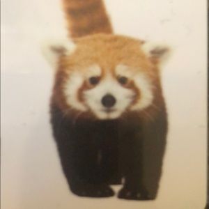 Meet your Posher, Lottie